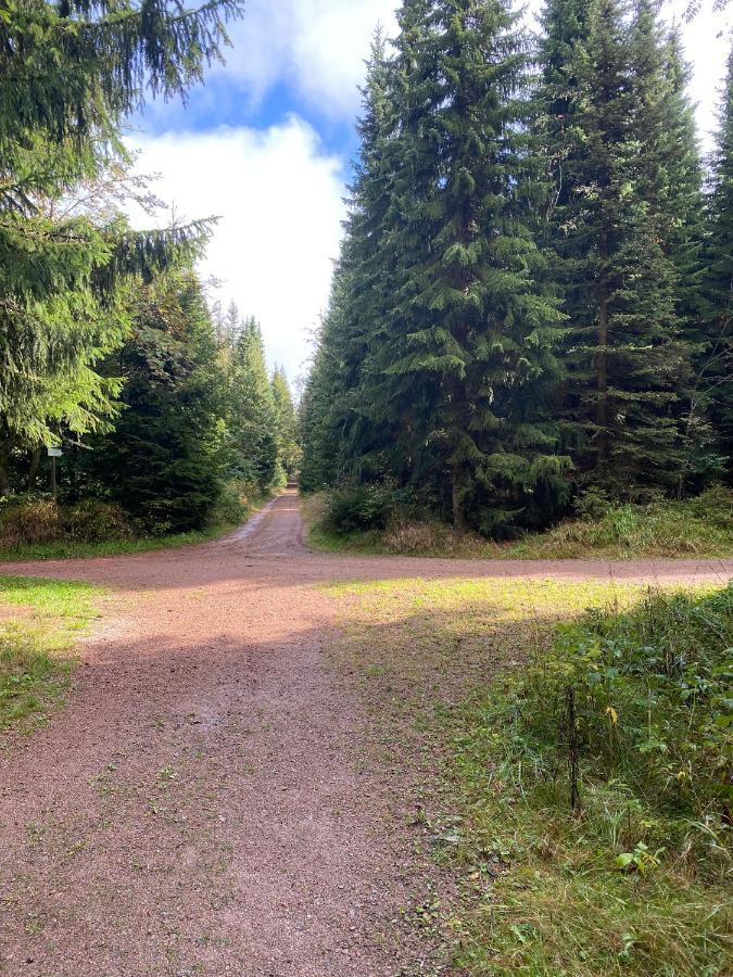 Haus Zur Pinge Gasthof